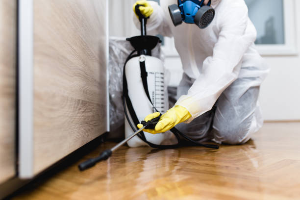 Best Mosquito Control Services  in Dayton, MN
