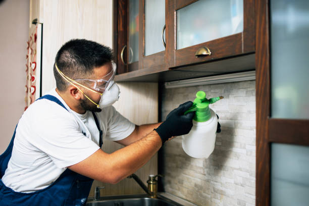 Best Pest Prevention Services  in Dayton, MN
