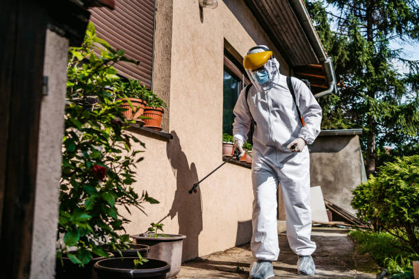 Best Exterminator Services  in Dayton, MN