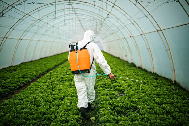 Best Affordable Pest Control Services  in Dayton, MN