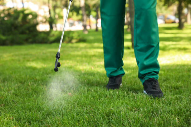 Best Pest Removal Services  in Dayton, MN
