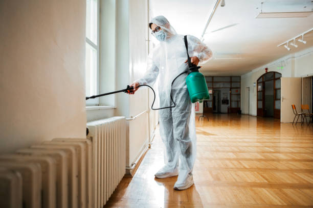 Best Flea Control Services  in Dayton, MN
