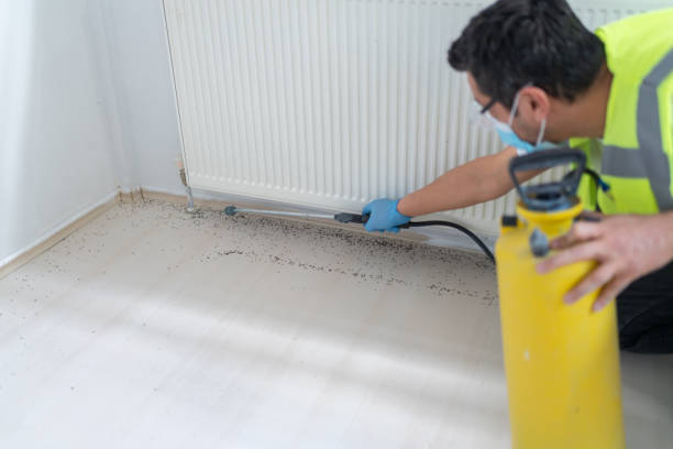Pest Prevention Services in Dayton, MN